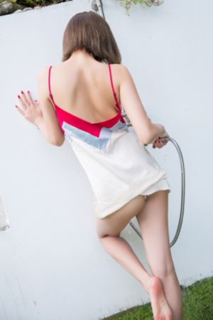 拉布拉多动画片全集在线观看