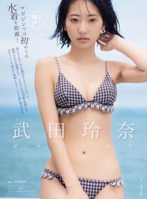 傻王夺嫡